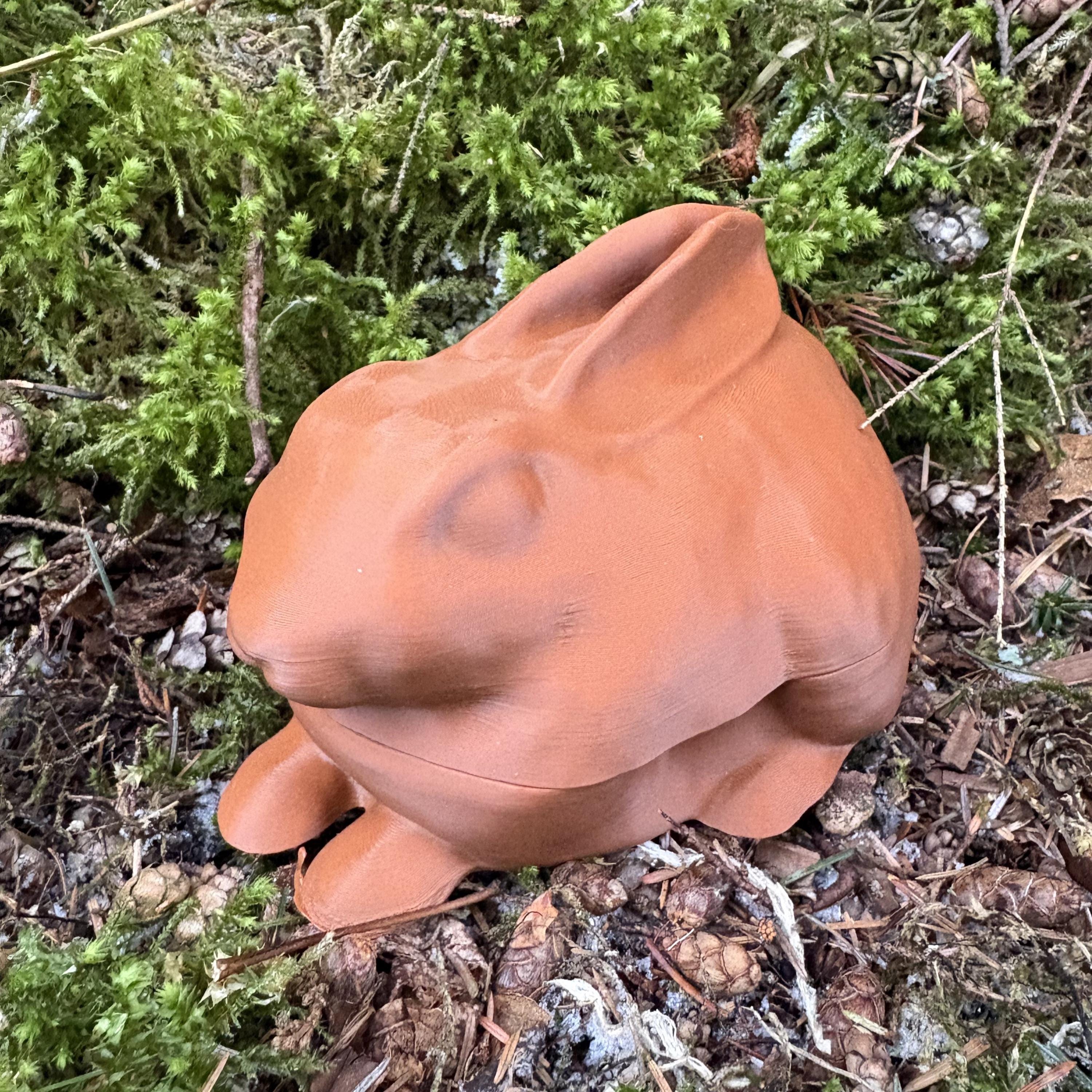 Bunny-style Slug Trap to Protect Your Garden From Destructive