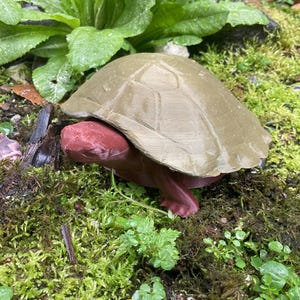 May include: A 3D-printed turtle figurine with an olive-green shell and a maroon body. The turtle is set amongst green moss and small plants, creating a naturalistic scene.
