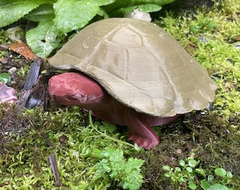 Slakkenval in schildpadstijl. Sierbescherming voor de tuin! Geweldig cadeau voor de tuinman.