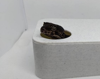 Feuchtes Versteck für kleine Reptilien
