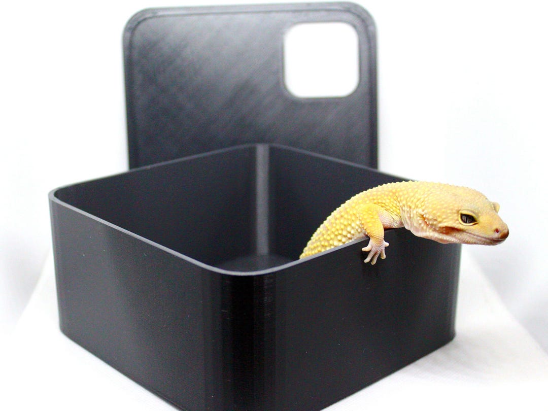 Humid Hide/ Lay Box for Small Reptiles - Etsy