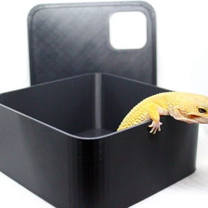 Caja húmeda para esconderse y poner huevos, ideal para reptiles pequeños y geckos.