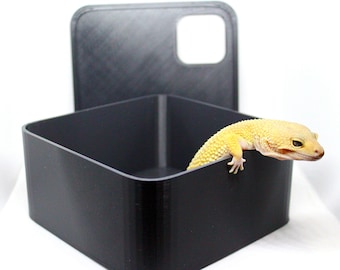 Humid Hide/ Lay Box for Small Reptiles