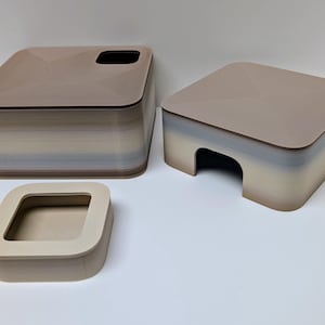 Gecko essentials set