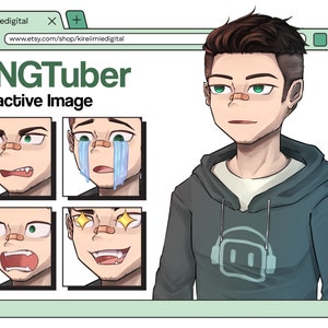 Male Dark Haired Green Eyed Hoodie Gamer Guy PNGTuber w/ 4 Expressions for Twitch and Streaming, Compatible With Veadotube Mini