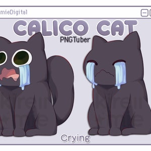 PNGTuber premade black cat adopt shown sobbing with rivers of tears.