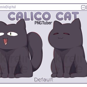 PNGTuber black cat shown in its default talking and blinking state.