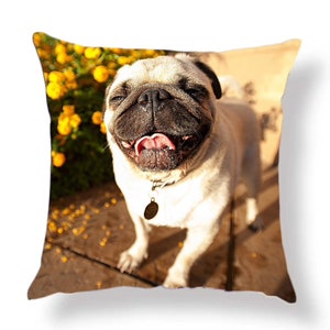 May include: A close-up of a pug dog with its tongue sticking out, looking up at the camera. The dog is standing on a wooden surface with yellow flowers in the background.
