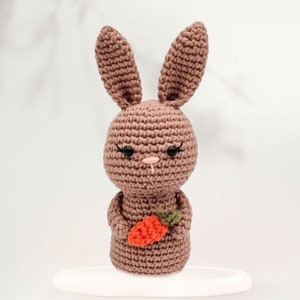 CROCHET PATTERN - Bunny Crochet Amigurumi Pattern, Love Bunny Crochet Pattern, Valentine Crochet Pattern, Easter Crochet Pattern