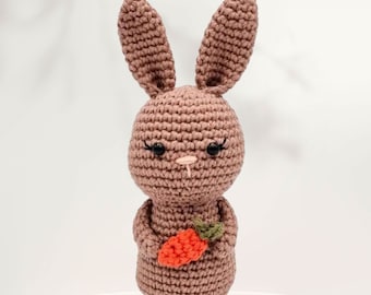 Bunny Crochet Amigurumi Pattern – Love Rabbit, Valentine's Day Gift (PDF Pattern)