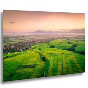 Bali Rice Fields Aerial Photography Print Tropical Landscape Green Farmland Wall Art