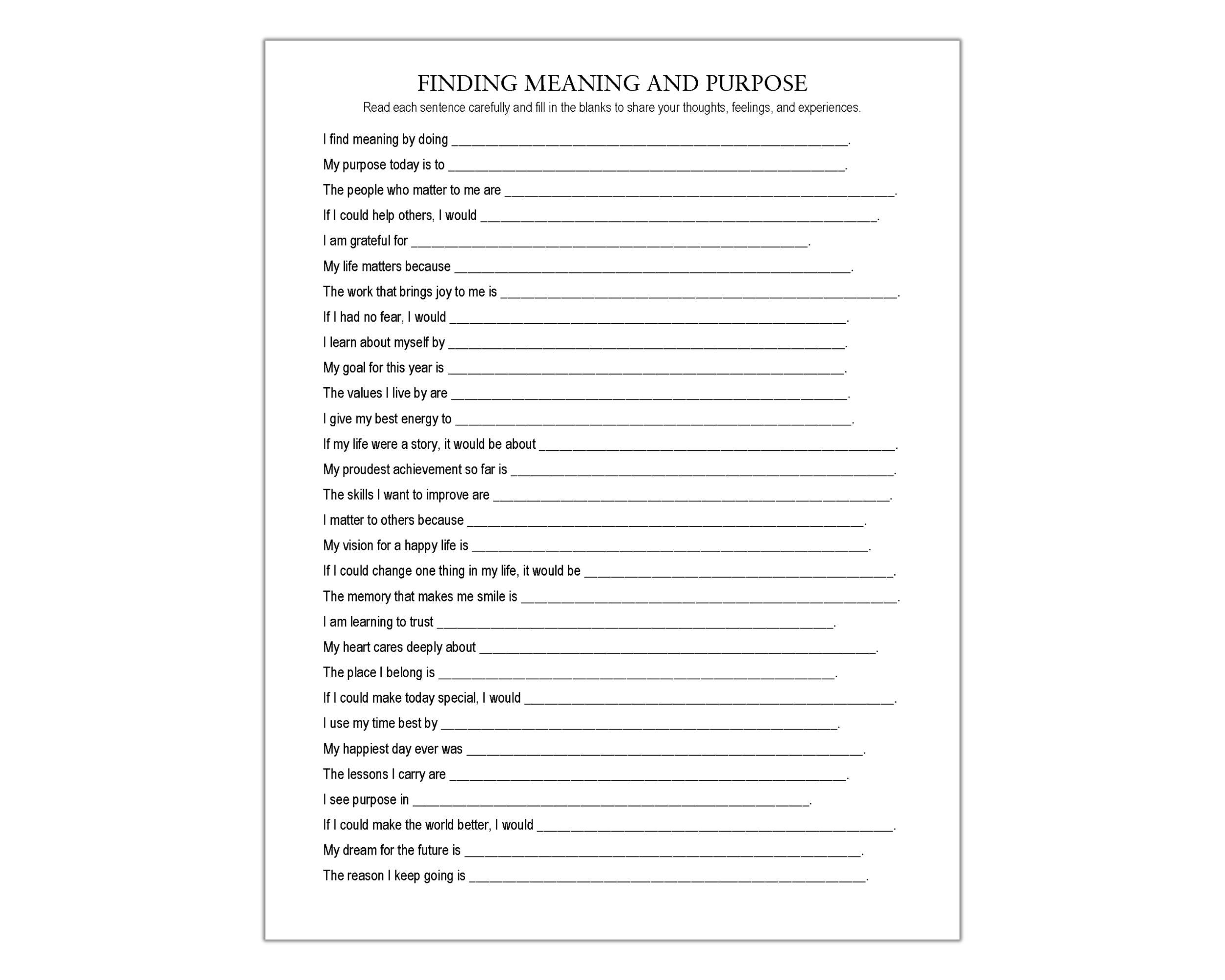 Finding Meaning and Purpose Worksheet, Life Purpose, Goal Setting, Core ...