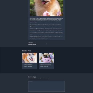 May include: A blog post about the benefits of grain-free food for dogs. The post features a photo of a fluffy orange Pomeranian dog with pink flowers in the background. The text on the page discusses the digestive issues that can arise from feeding dogs grain and the benefits of a grain-free diet.