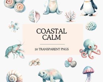 Coastal Watercolor Clipart Set, Ocean Animals & Seashells PNG, Beach Nursery Art, Sea Life Illustrations, Soft Pastel Marine Clipart