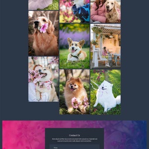 May include: A website for a pet care service called "The Pet People". The website features a gallery of images of dogs and their owners, a contact form, and information about the services offered, including dog walking, pet sitting, and pet boarding.