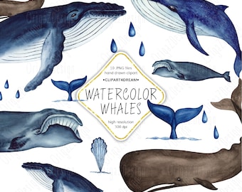 Whale Clipart, Ocean life Clipart Blue whale Sperm whale Humpback whale Bowhead whale clip art Watercolor Sea animals Hand Painted PNG jpg