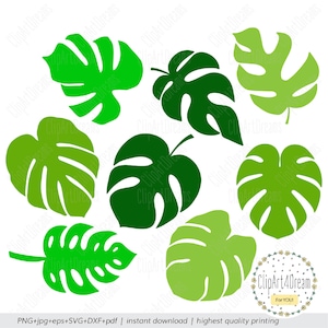 Monstera cutting file, Monstera SVG Tropical palm leaves Plant tree leaf svg cut files for Cricut Silhouette DXF PDF Png