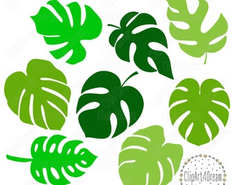 Monstera Plotterdatei, Monstera SVG Tropische Palmen blätter Pflanze Svg Plotterdatei für Cricut Silhouette DXF PDF Png