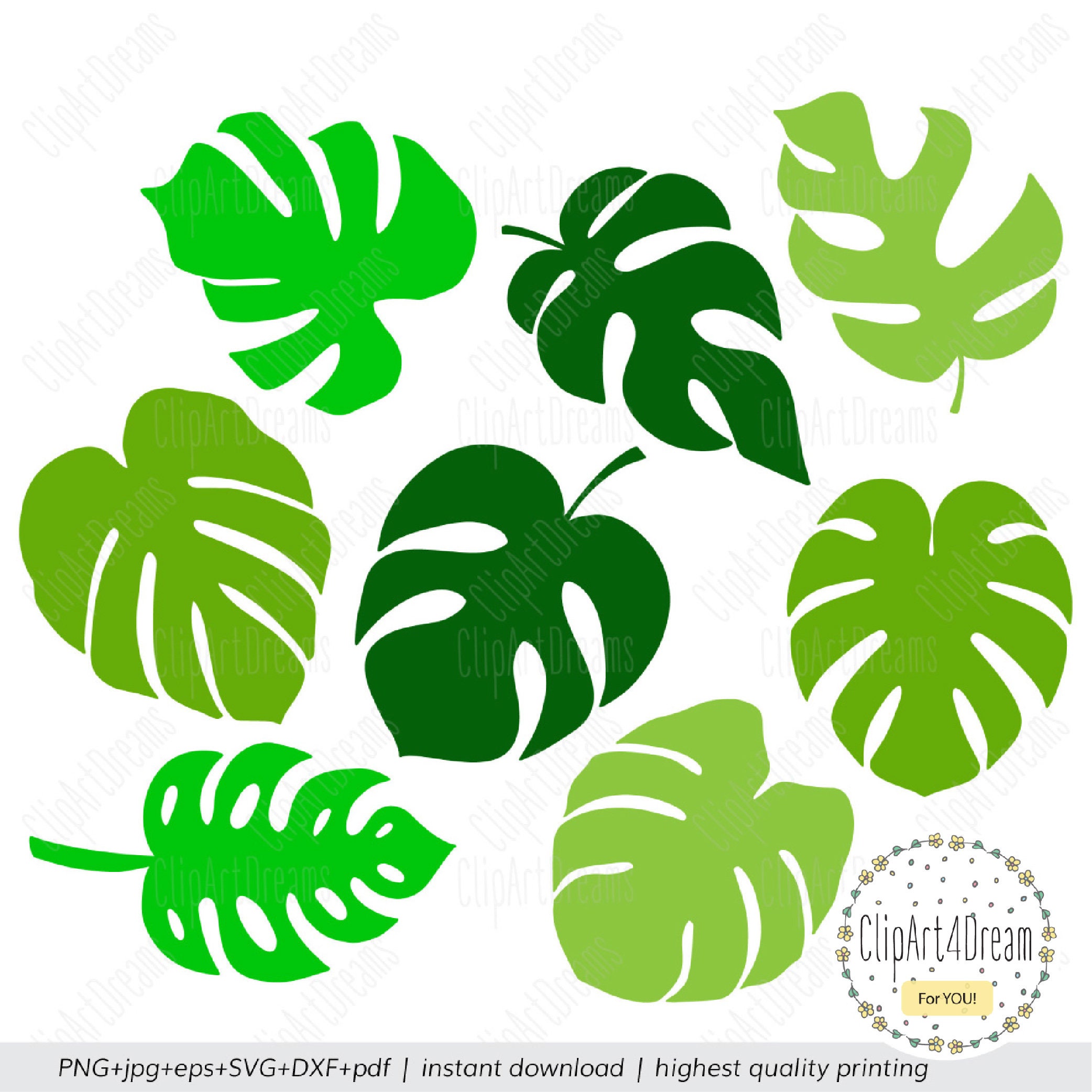 Monstera Cutting File, Monstera SVG Tropical Palm Leaves Plant Tree ...