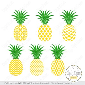 Pineapple SVG cut files Summer Pineapple clipart Svg Dxf cutting file for Cricut Silhouette PNG PDF