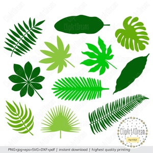 Tropical palm leaves SVG, Monstera leaf template svg, Jungle cutting stencil summer plant cut files for Cricut Silhouette DXF PDF