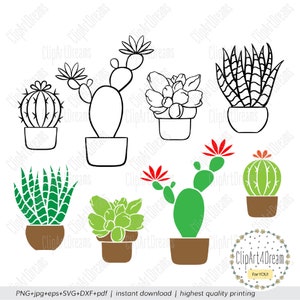 Cactus svg, Suculento svg Cacti pot Boho archivos de corte prediseñadas para Cricut Silhouette archivo de corte DXF PDF