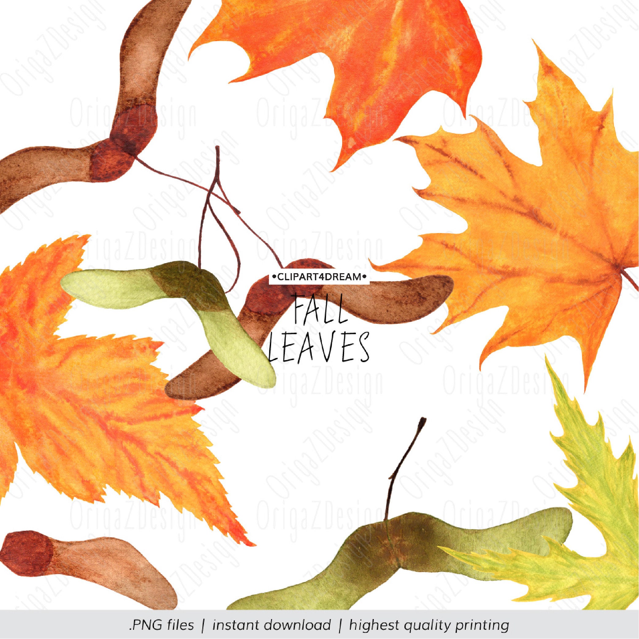 Cozy Autumn Leaves Clipart Fall Seasonal Watercolor Branches Red Berry ...