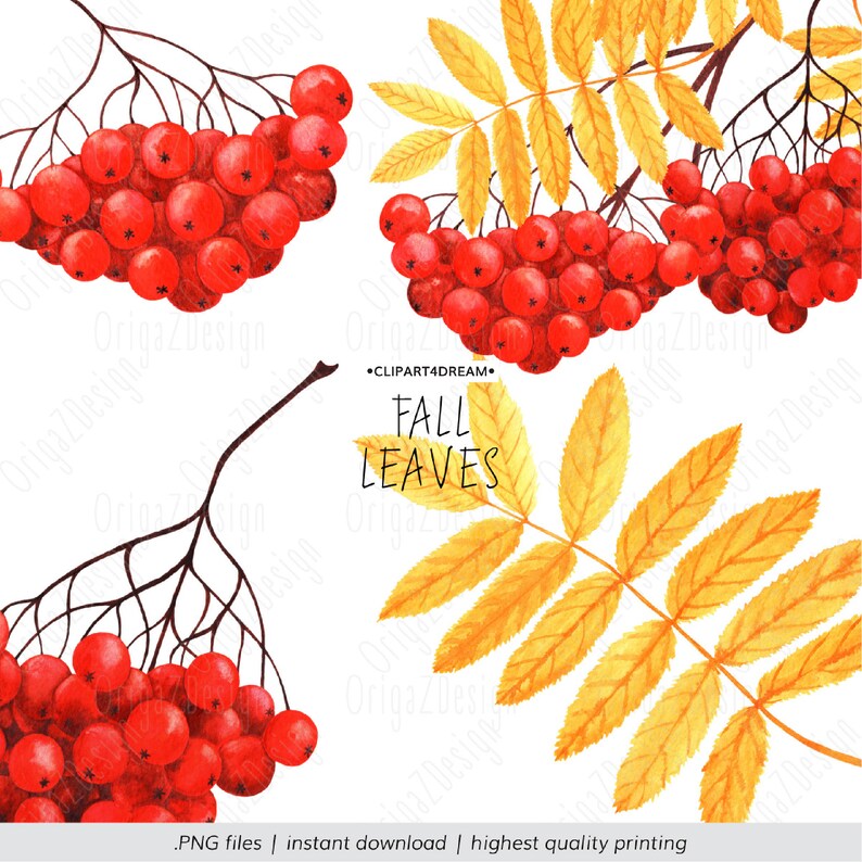 Cozy Autumn Leaves Clipart Fall Seasonal Watercolor Branches Red Berry ...