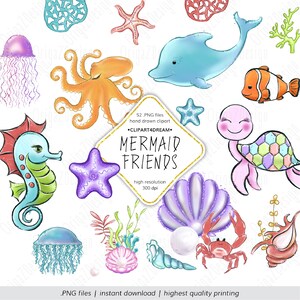 Sirenetta amici animali vita, sotto il mare clipart, cavalluccio marino, tartaruga, polpo, delfino, granchio, pesce, corallo png