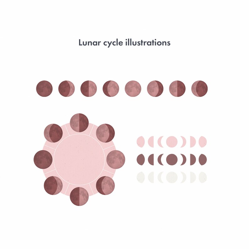 Moon Phase Digital Stickers: Lunar Cycle Goodnotes, Notability (PNG) - Etsy
