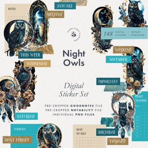Conjunto de pegatinas digitales Night Owls, pegatinas de tablero de humor de estilo gótico brujo para Goodnotes, libro de pegatinas de elementos oscuros para diario digital