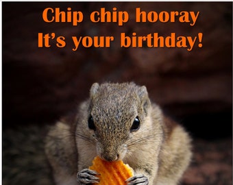 Birthday Card with Chips and Squirrel | Birthday Cards | Card for Him & Her | Food Puns|Friendship