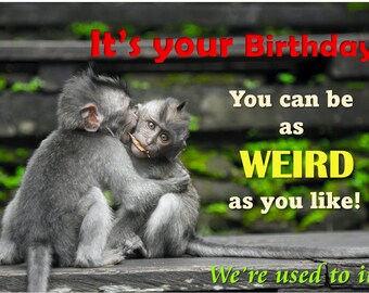 Monkeys are weird. : r/memes