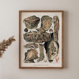 Great Barrier Reef Poster, Beach House Art, Vintage Sea Coral Wandkunst, Nautisches Dekor, Vintage Poster