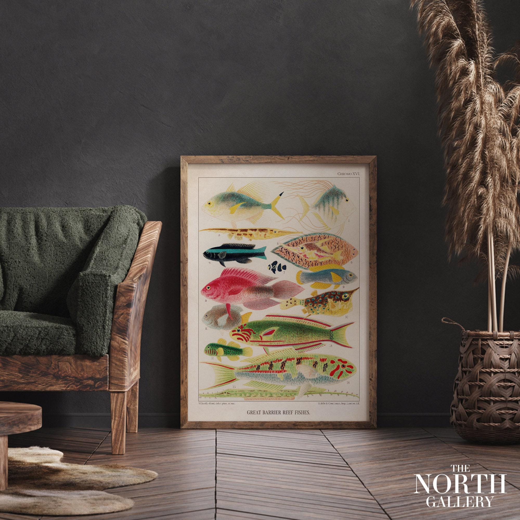 80s頃vintage Great Barrier Reef FishArt T 【公式通販】