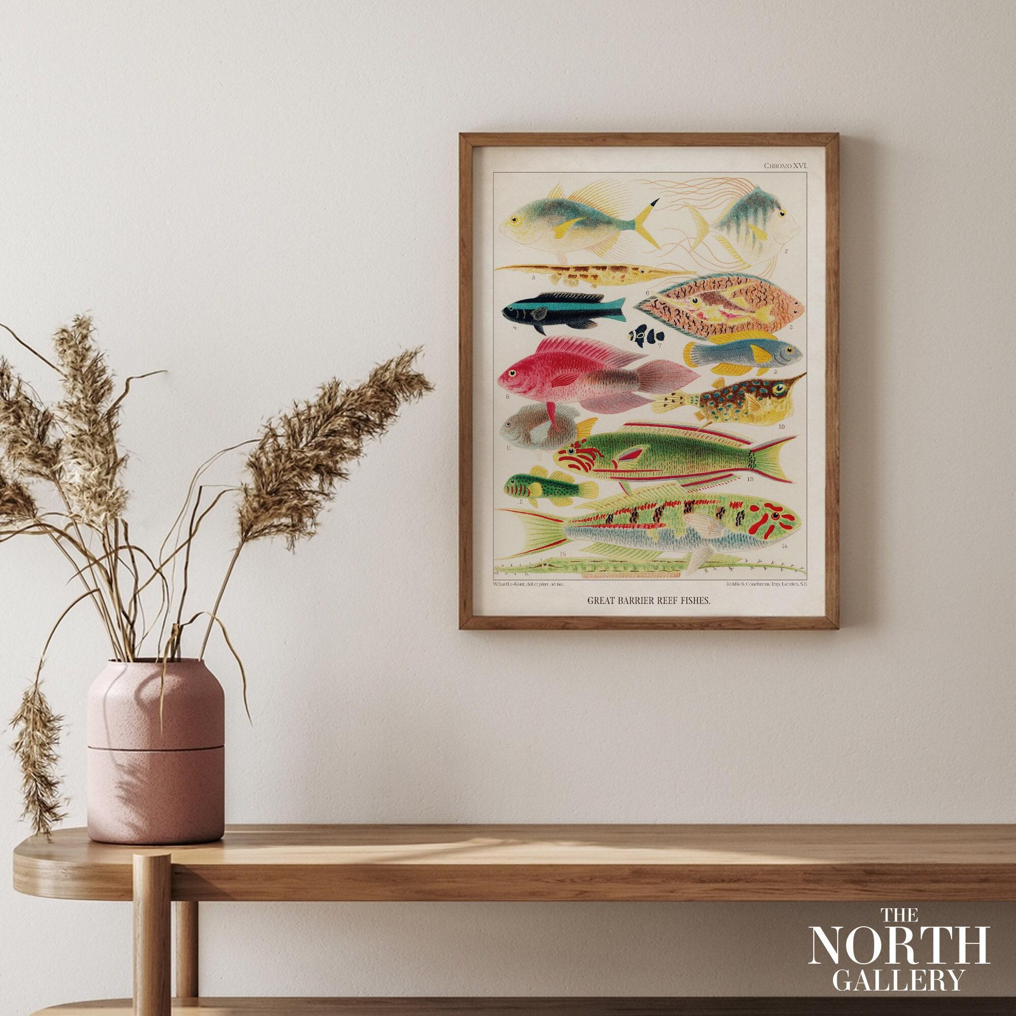 80s頃vintage Great Barrier Reef FishArt T 【公式通販】