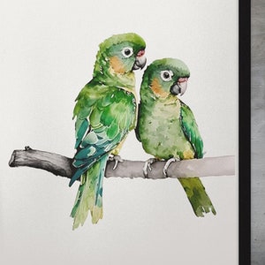 Green Cheeked Conures Watercolor Art Print: Parrot Wall Decor