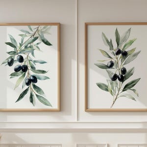 Olivenzweig Druck Set, mediterrane Küche Wandkunst