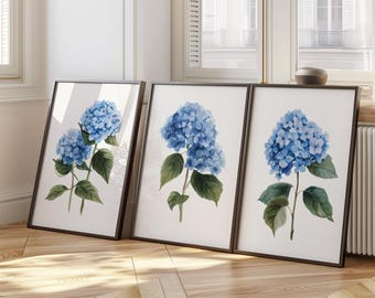 Láminas botánicas de hortensias azules, juego de 3, elegante arte floral para pared