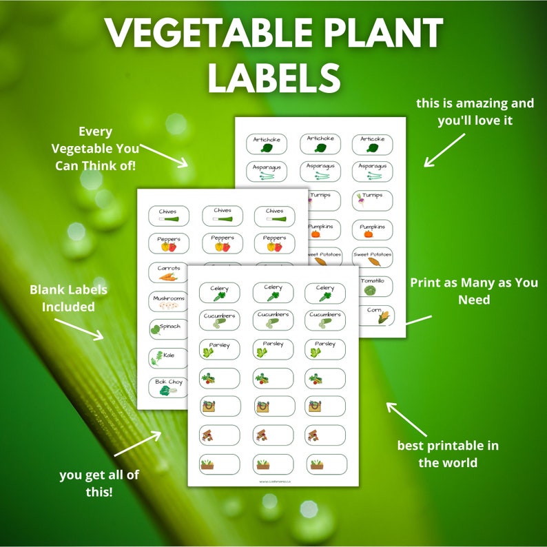 Stickers for Vegetable Plant Markers, Printable Plant Labels, Printable