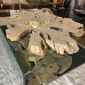 Glass coffee table with tree stump