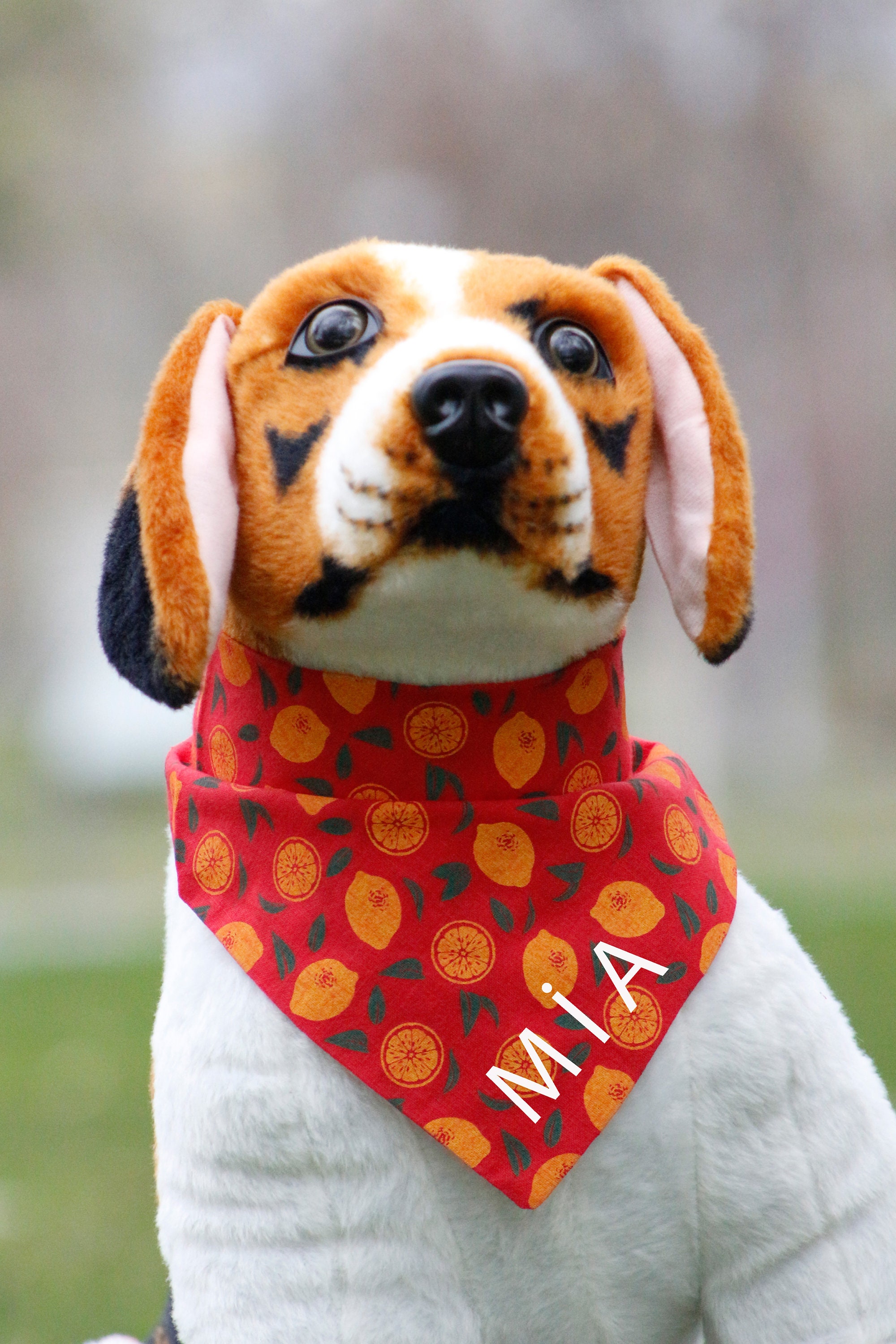 Personalized Summer Dog Bandana Girl Dog Bandana Boy Dog Etsy