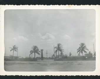 Vintage Photo Snapshot 1950s Palm Trees on Beach Scenic View Travel Vacation Summer Abstract