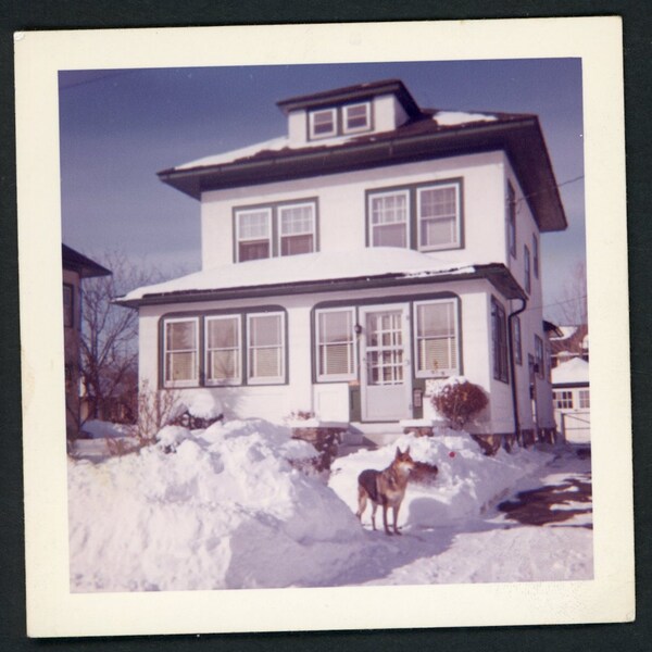 Winter Wonderland! German Shepherd Dog in Front of Snow Covered House Original Vintage Photo Snapshot 1960s Suburbia Americana Architecture