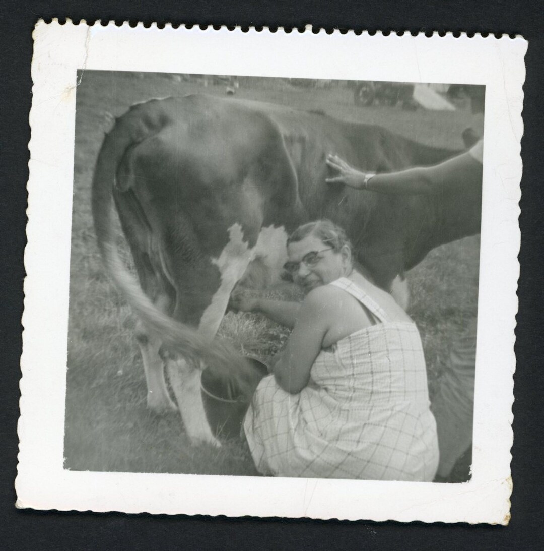 Woman Kneeling Milking a Cow Into a Pail Original Vintage Photo ...
