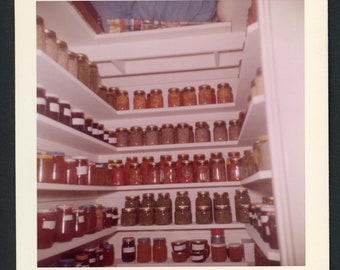 Ready for Winter! Kitchen Pantry Full of Home Canned Preserves Vegetables Foods Original Vintage Photo Snapshot 1960s Gardening Cooking