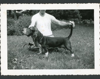 Man Holding Basset Hound by Face and Tail Show Pose Original Vintage Photo Snapshot 1960s Family Pets Puppy Cute