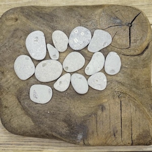 May include: A collection of smooth, gray beach stones with small holes, arranged on a weathered, dark brown wooden slab. The stones vary in size and shape, some with visible fossil imprints. The wooden slab has a natural, rustic appearance.