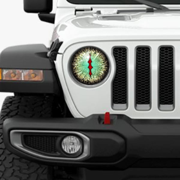 Eyeball Round Headlight Overlay Graphics Kit Vinyl Decal Cover 2 Piece Set