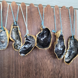 Puede incluir: Seis colgantes de concha de ostra con bordes dorados e interiores oscuros cuelgan de una exhibición de madera. Cada concha es única en forma y patrón, suspendida por un cordón azul claro. Las conchas se exhiben sobre un fondo de madera marrón oscuro.